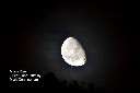 Moon Rise - 